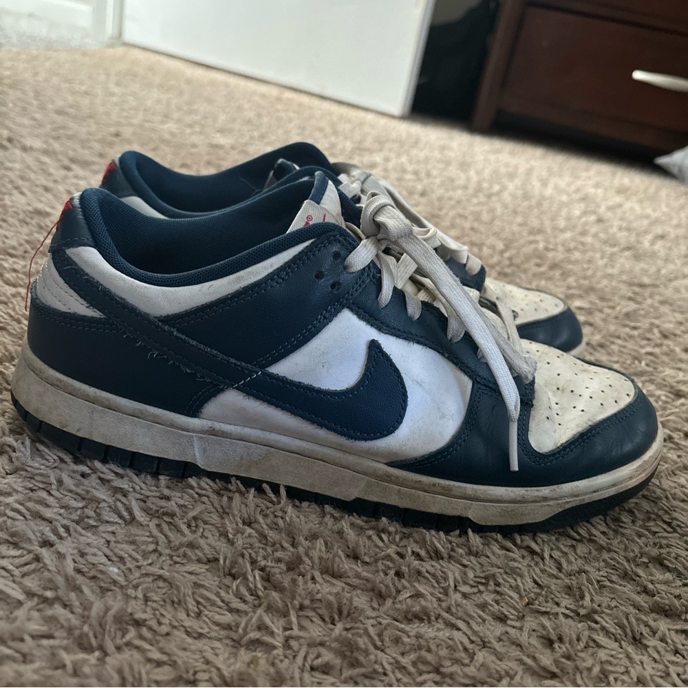 Nike Bavarian blue dunk low | size 10.5